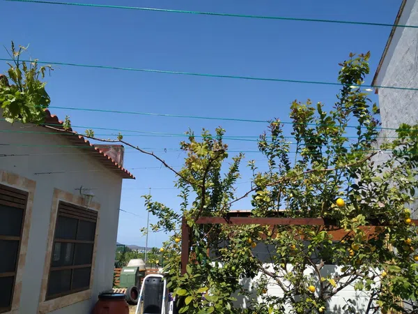 Casa o chalet independiente en Calle Sant Salvador, 43 - Foto 32