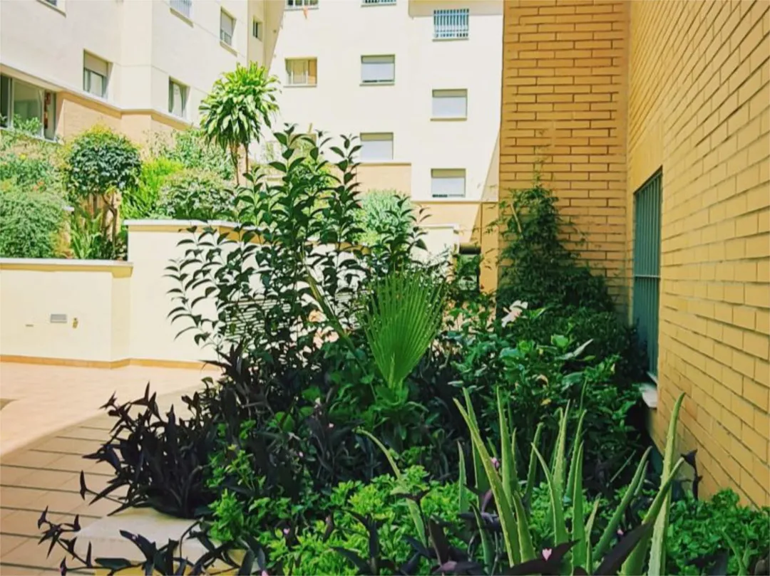 Piso en  Calle Castilla 38 - Foto 3