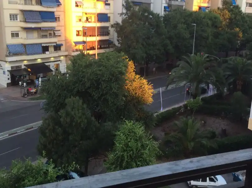 Piso en  Avenida de Hernán Cortés 5 - Foto 3
