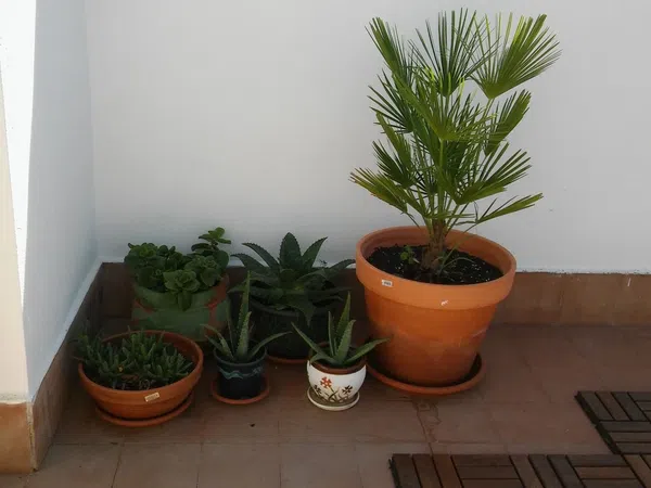 Ático en Travesía Gabino, 19 - Foto 28