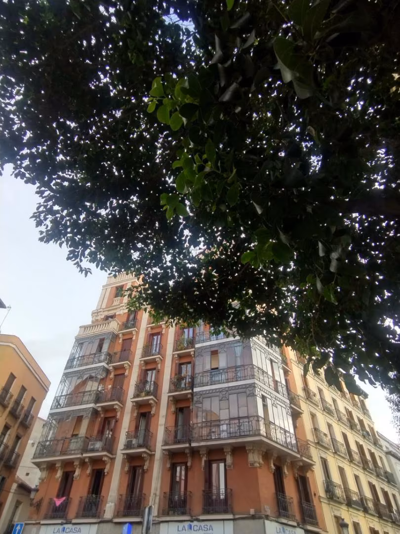 Piso en  Calle de la Sierpe 1 - Foto 4