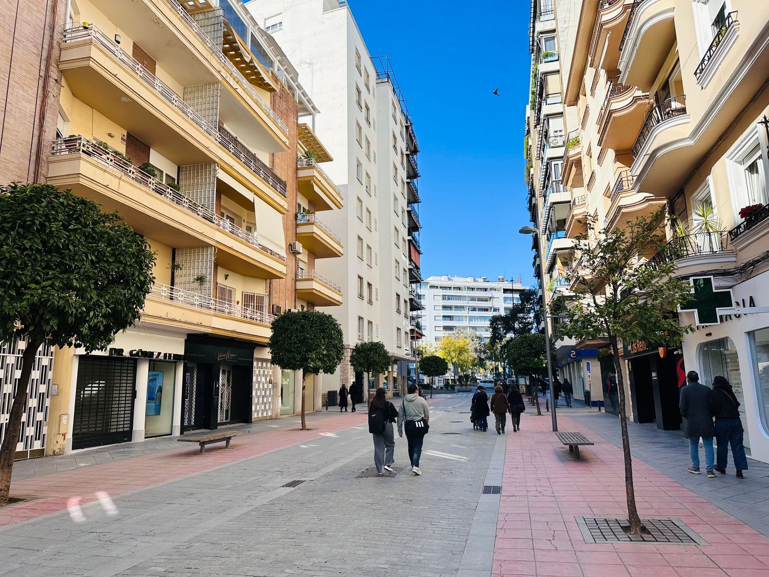 Piso en Barrio Plaza de Cuba - República Argentina - Foto 14