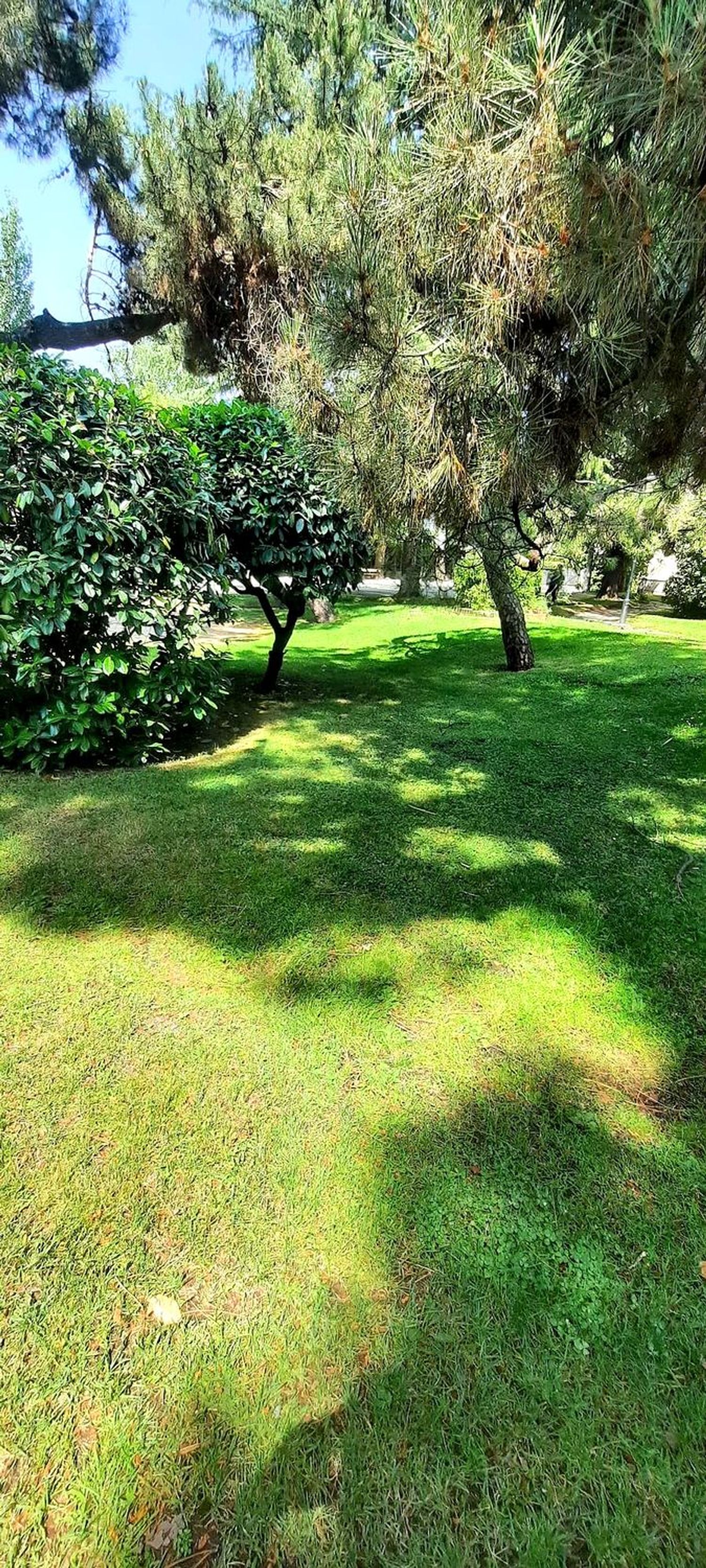 Piso en M-601, 10, Dehesa - El Soto, Dehesa - El Soto - Foto 14