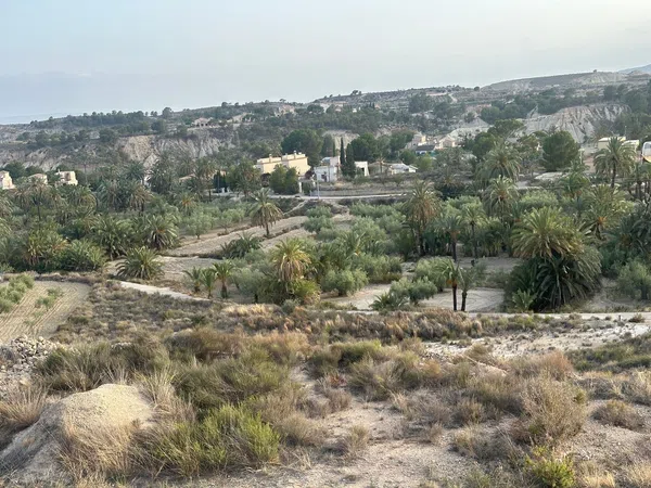 Finca rústica en Diseminado Paraje Salado Bajo, 14 - Foto 1