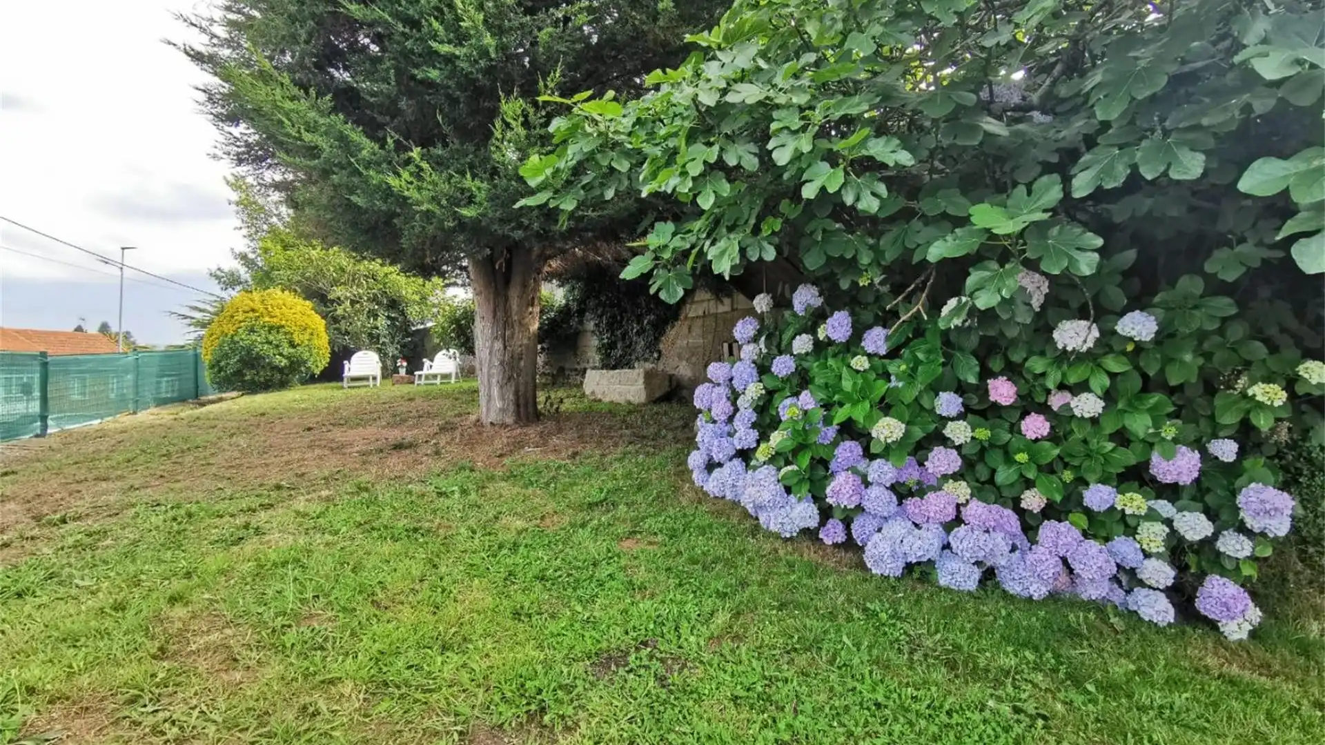 Chalet en  Carretera San Cidre - Foto 19