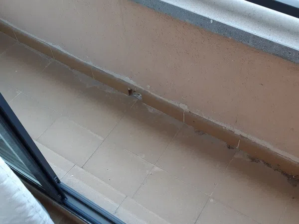 Piso en Calle Sargento Vaillo, 29, Mercado - Foto 42