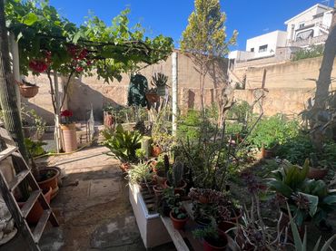 Planta baja en  Carrer Bellavista-D 13 - Foto 3