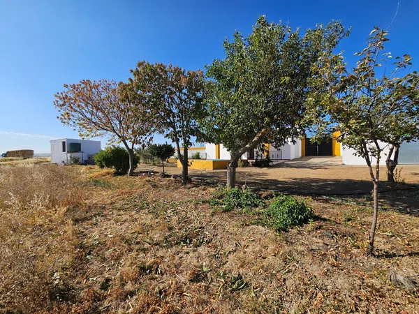 Finca rústica en Pilar de Cordoba s/n - Foto 40