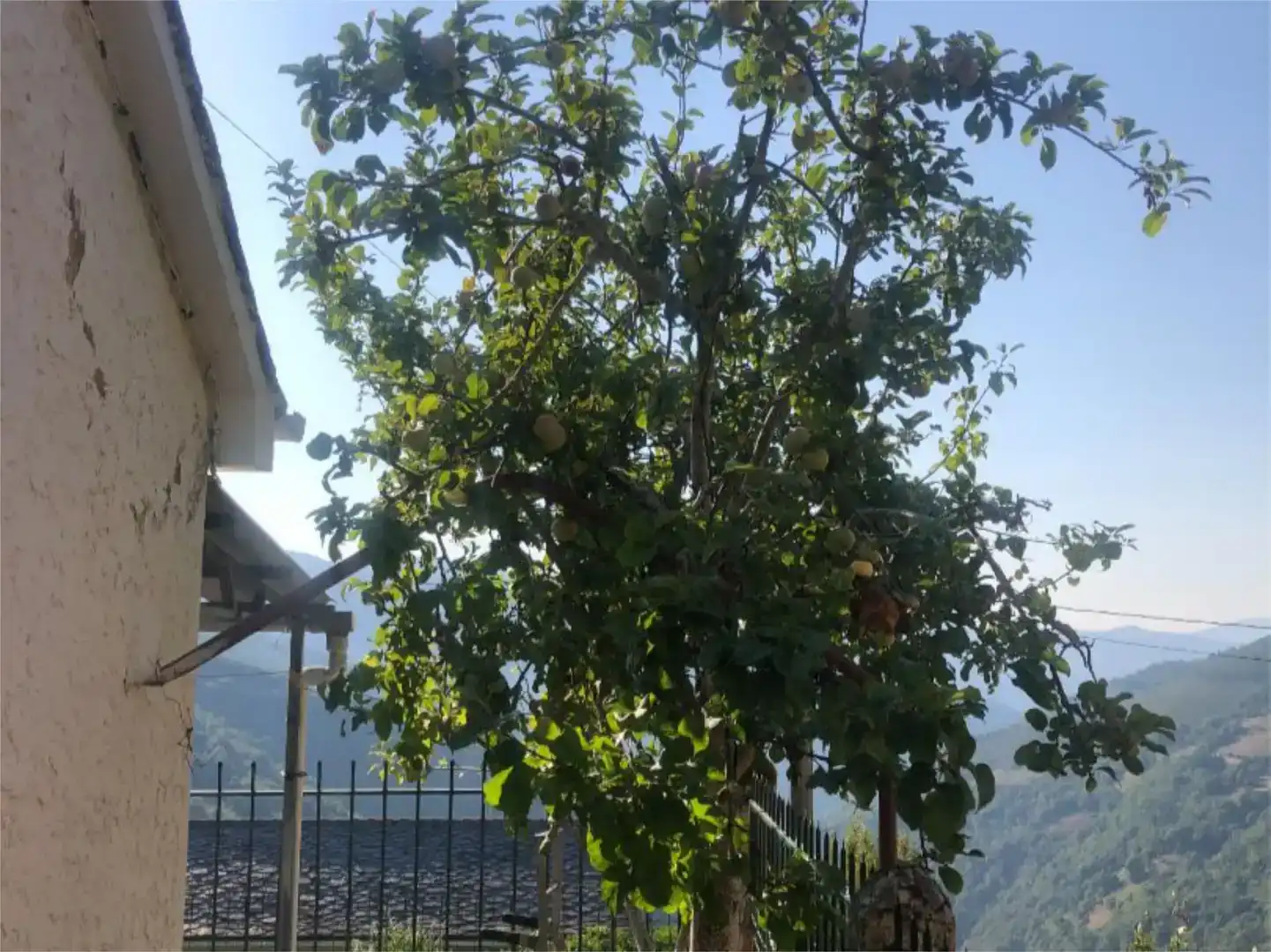 Finca rústica en  Aldea San Clemente 11 - Foto 17