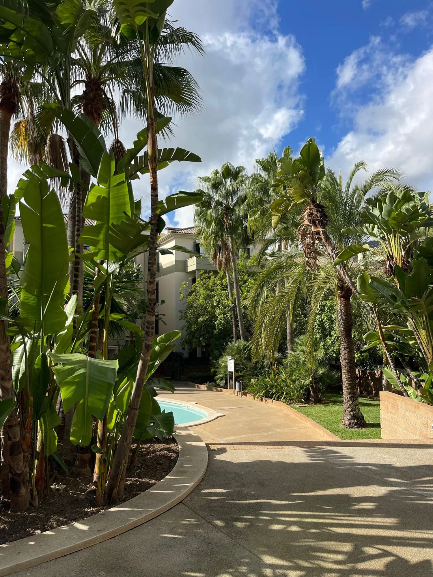 Ático en calle d'Adolf Vázquez Humasqué, 9 - Foto 17