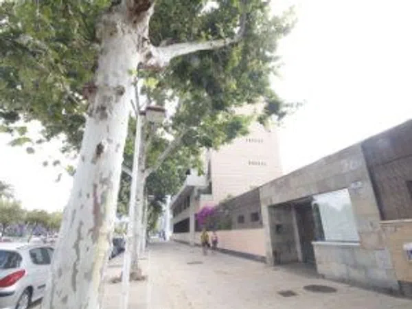 Alquiler de piso en Avenida Concejal Alberto Jiménez-Becerril, 26 - Foto 2