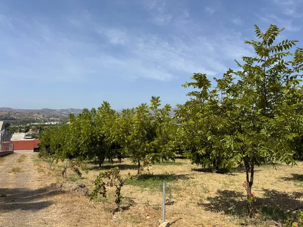 Casa rural en Camino de Campanales, 1, Las Cañadas - Foto 16