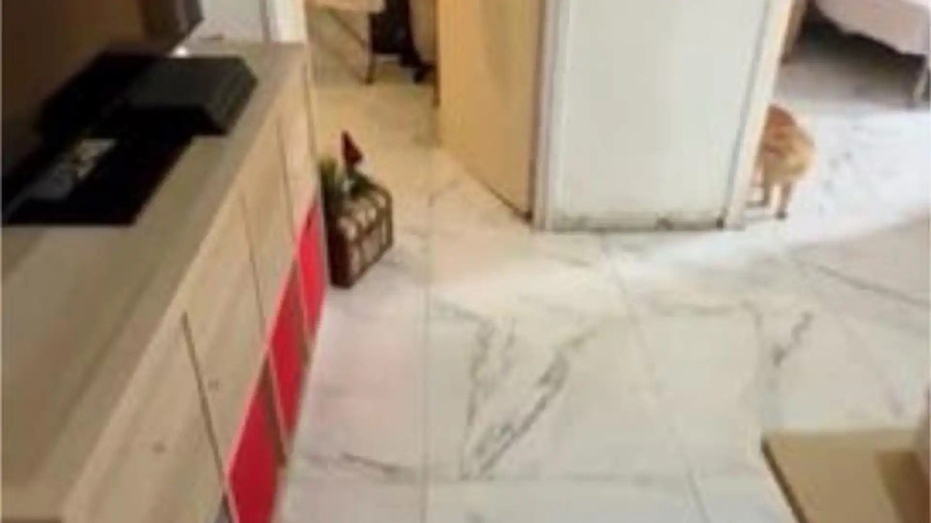 Piso en Centro - Foto 2