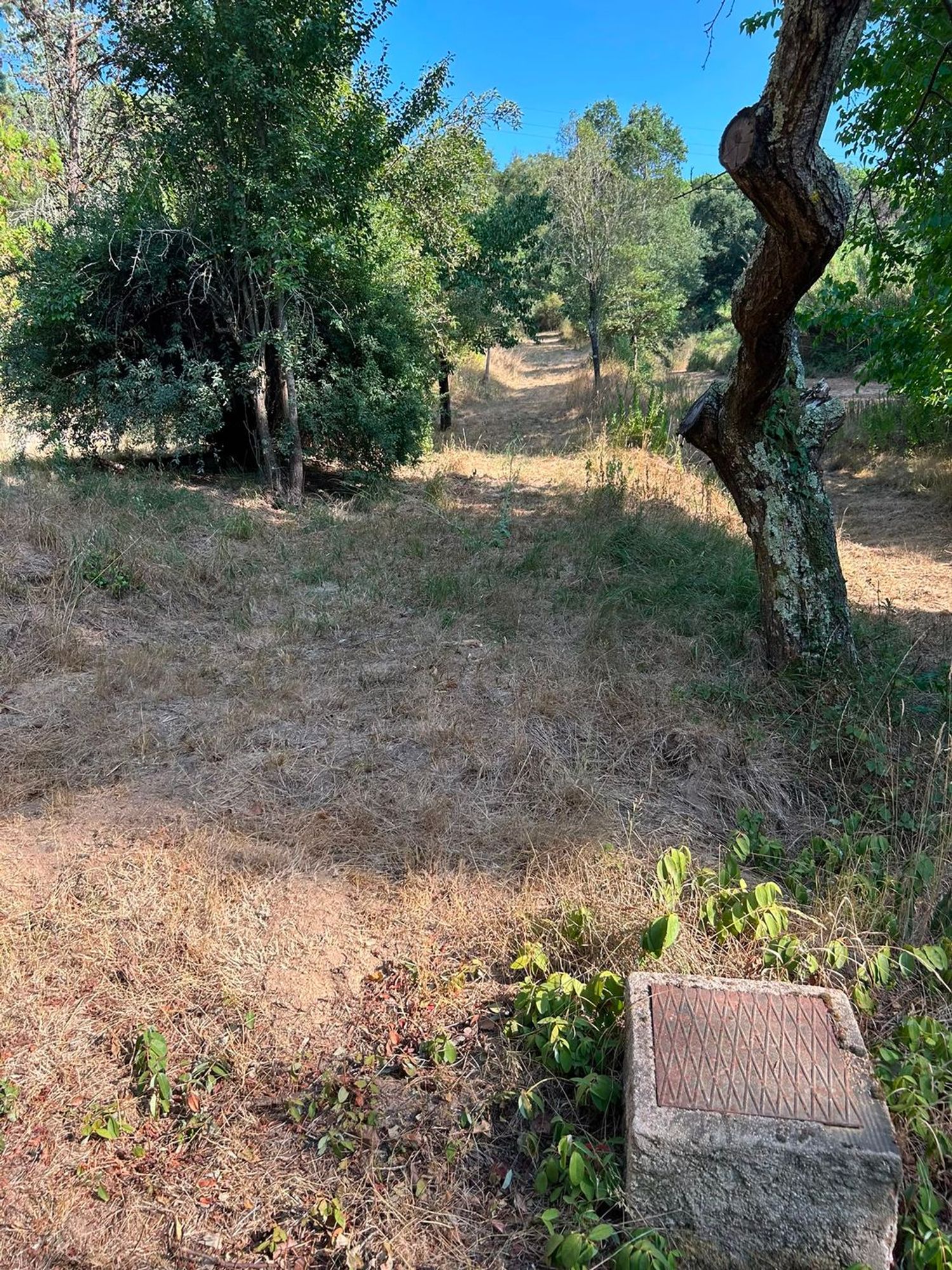 Casa terrera en Veral de Cal Negre, 19 - Foto 23