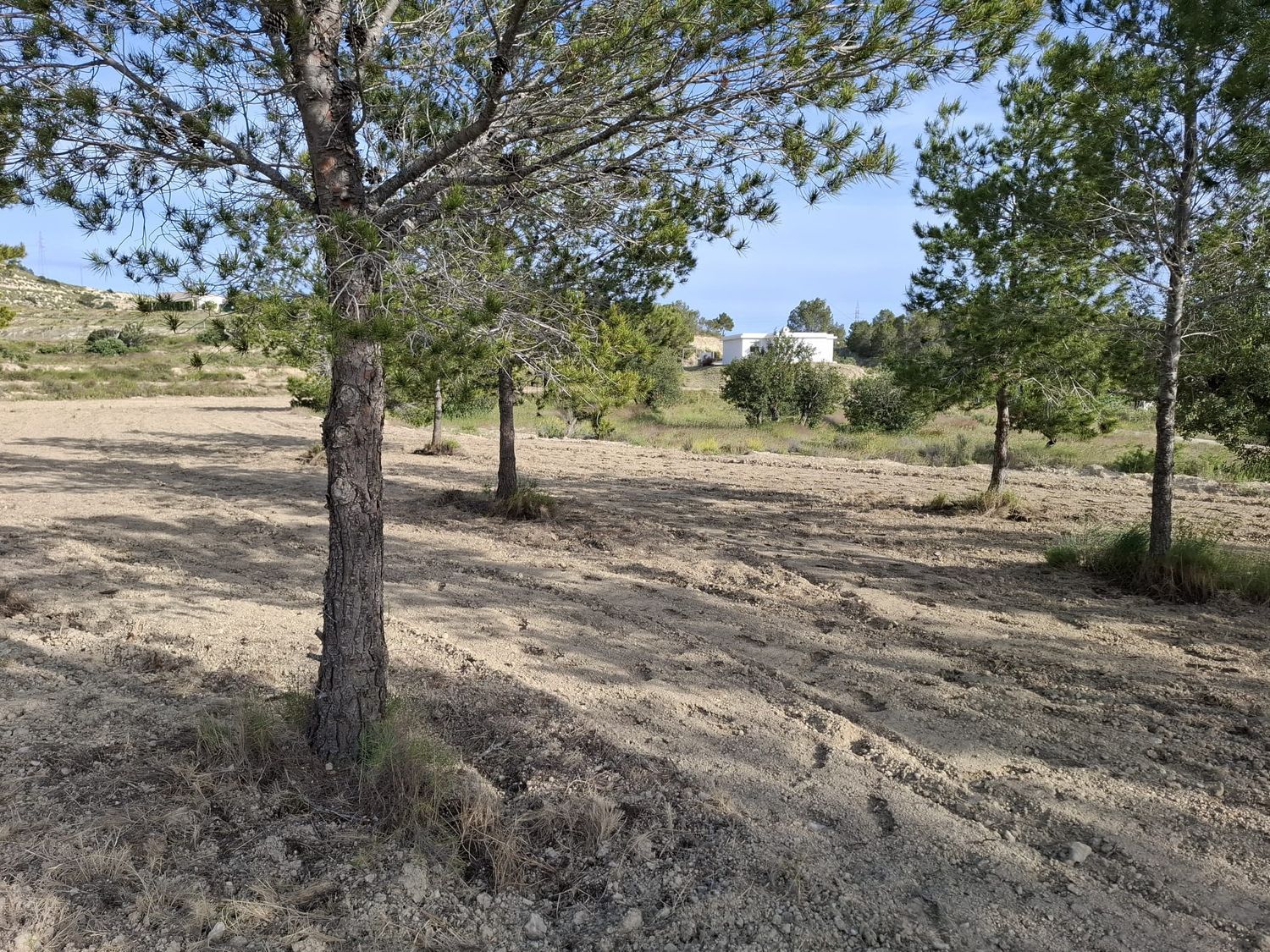 Casa rural en Ptda El Espino s/n - Foto 16