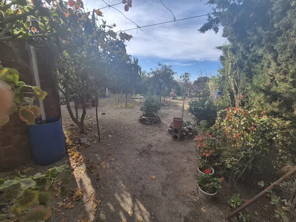 Cortijo en Los Vargas s/n - Foto 11
