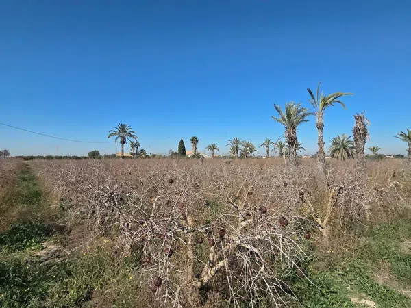 Casa independiente en camino de les Cases Juntes, 100 - Foto 6