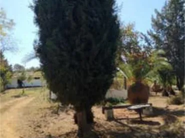 Chalet en campo - Foto 5