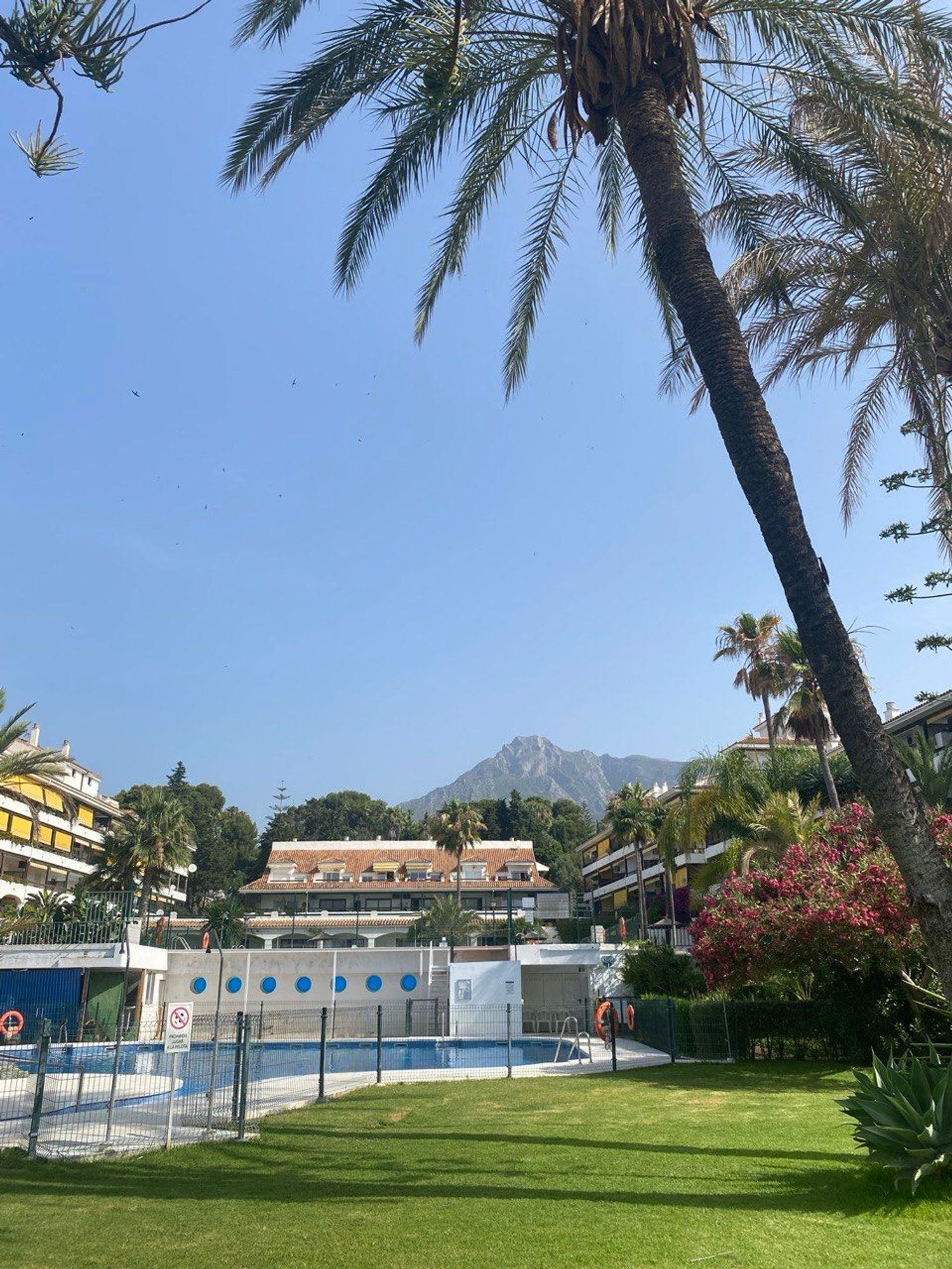 Estudio en bulevar Ashmawi, 6 - Foto 12