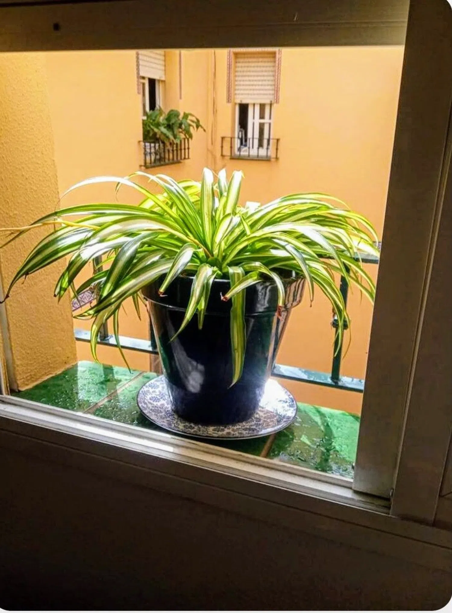 Piso en Pelay Correa, 81 - Foto 16