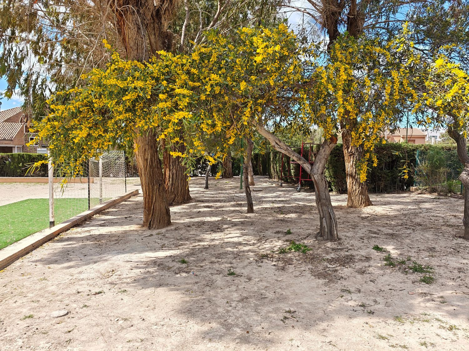 Chalet adosado en calle Manolo Morán, 43 - Foto 14