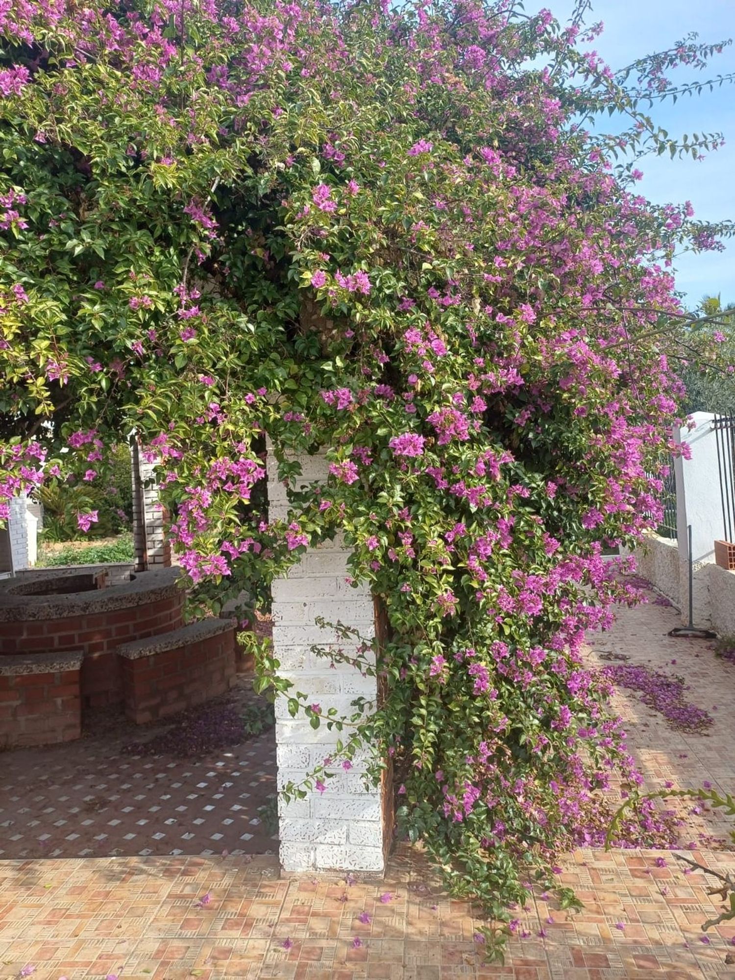 Casa independiente en Av vereda Real, 15 - Foto 6