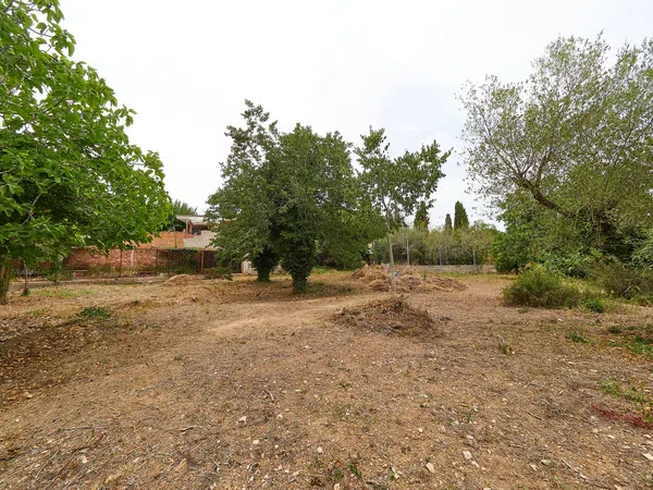 Casa rural en Avenida Catalunya, 20 - Foto 8