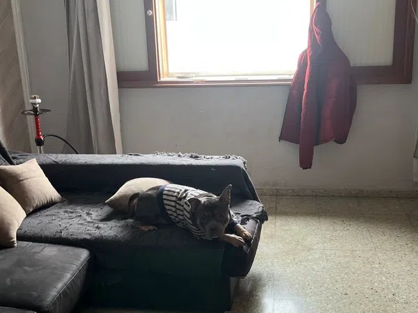 Piso en Calle Doña Perfecta, 29, Schamann - Rehoyas - Foto 2