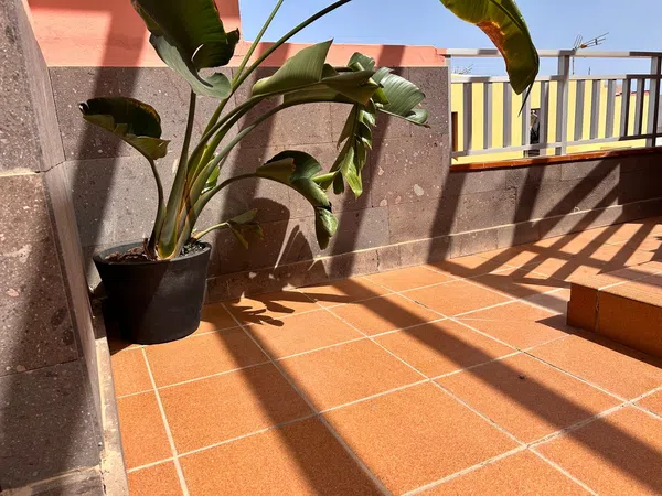 Ático en Calle Bentayga, 40, Cruce de Arinaga, Cruce de Arinaga - Foto 27