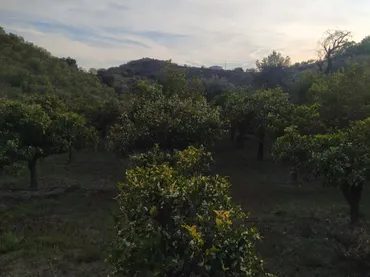 Finca rústica en  Loma Para 1 - Foto 32