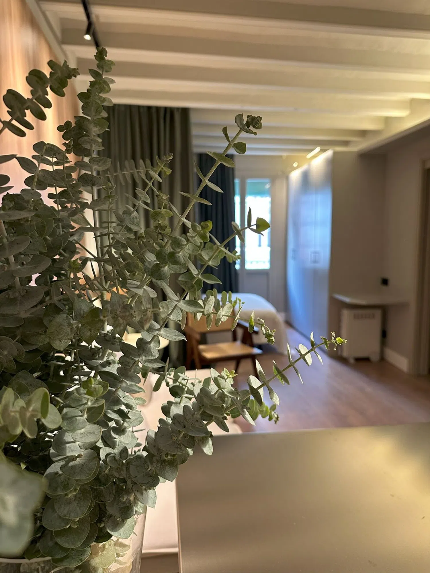 Estudio en Barrio Sant Gervasi - Galvany - Foto 4