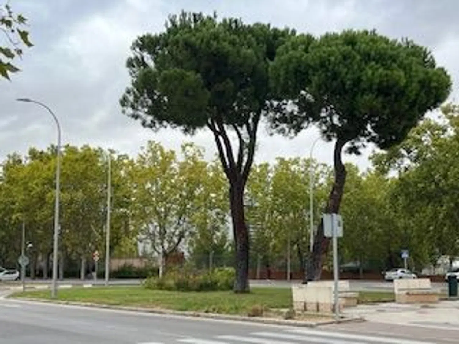 Piso en calle de los Tejedores, 1 - Foto 7