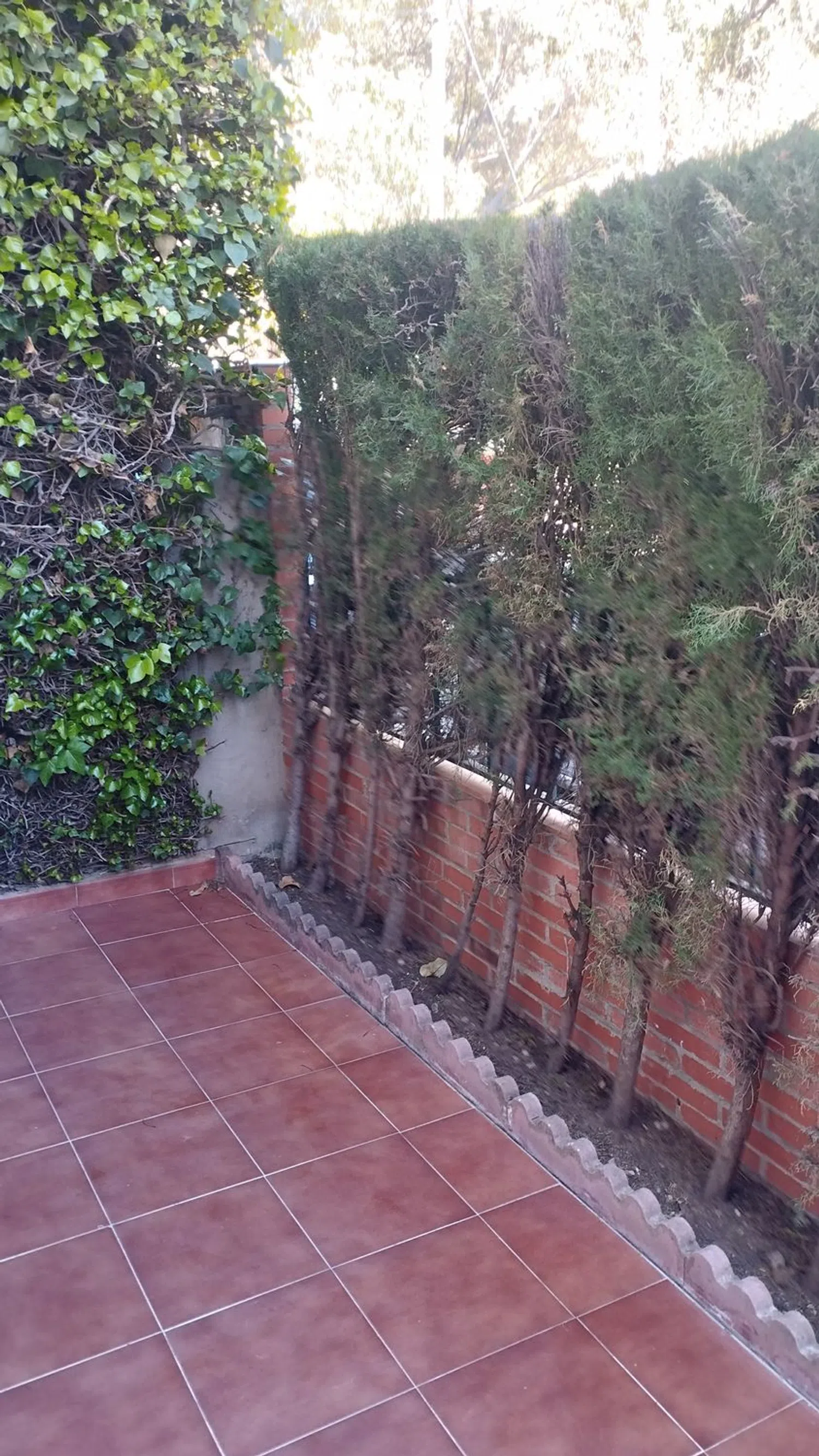 Piso en calle Eucaliptus, 53 - Foto 9