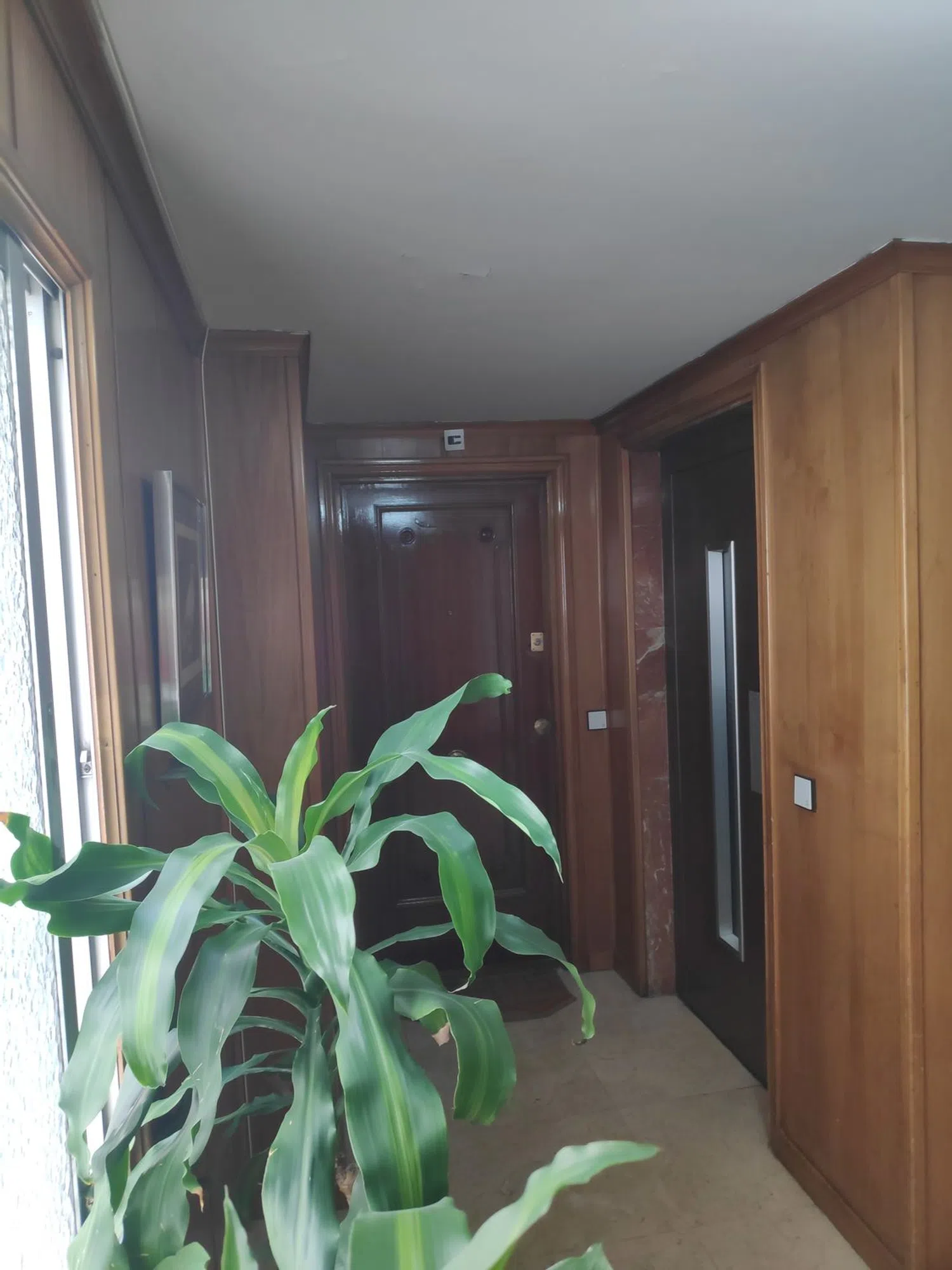 Estudio - Foto 2