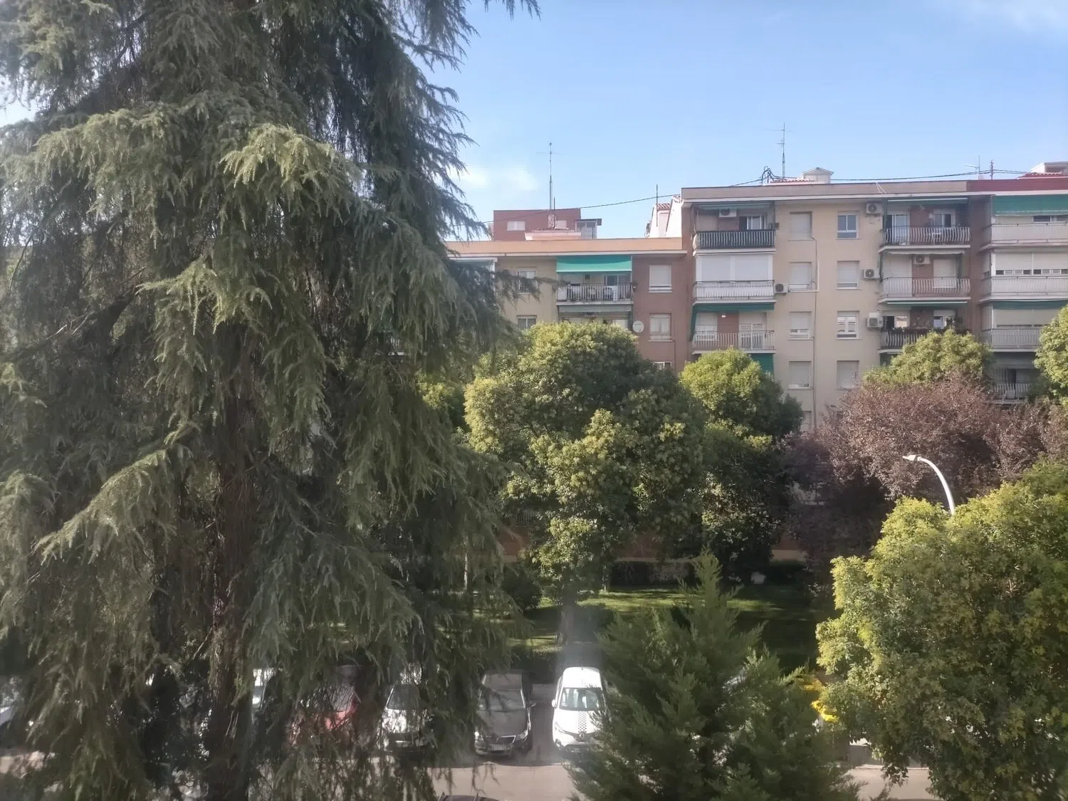 Piso en calle de San Vidal, 17 - Foto 15