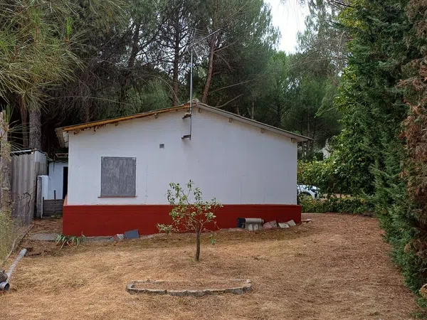 Casa o chalet independiente en Calle del Pinar, 114 - Foto 8