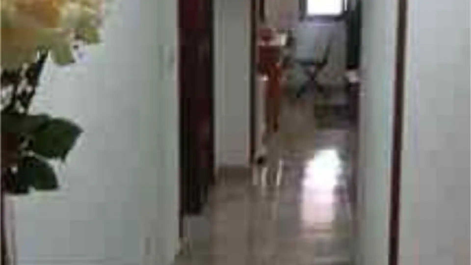 Piso en el médano, - Foto 4