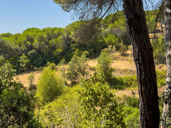 Masía en Masía en Diseminado Veinat de Sant Daniel, 104, Mas Mora - Sant Daniel, Mas Mora - Sant Daniel - Foto 13