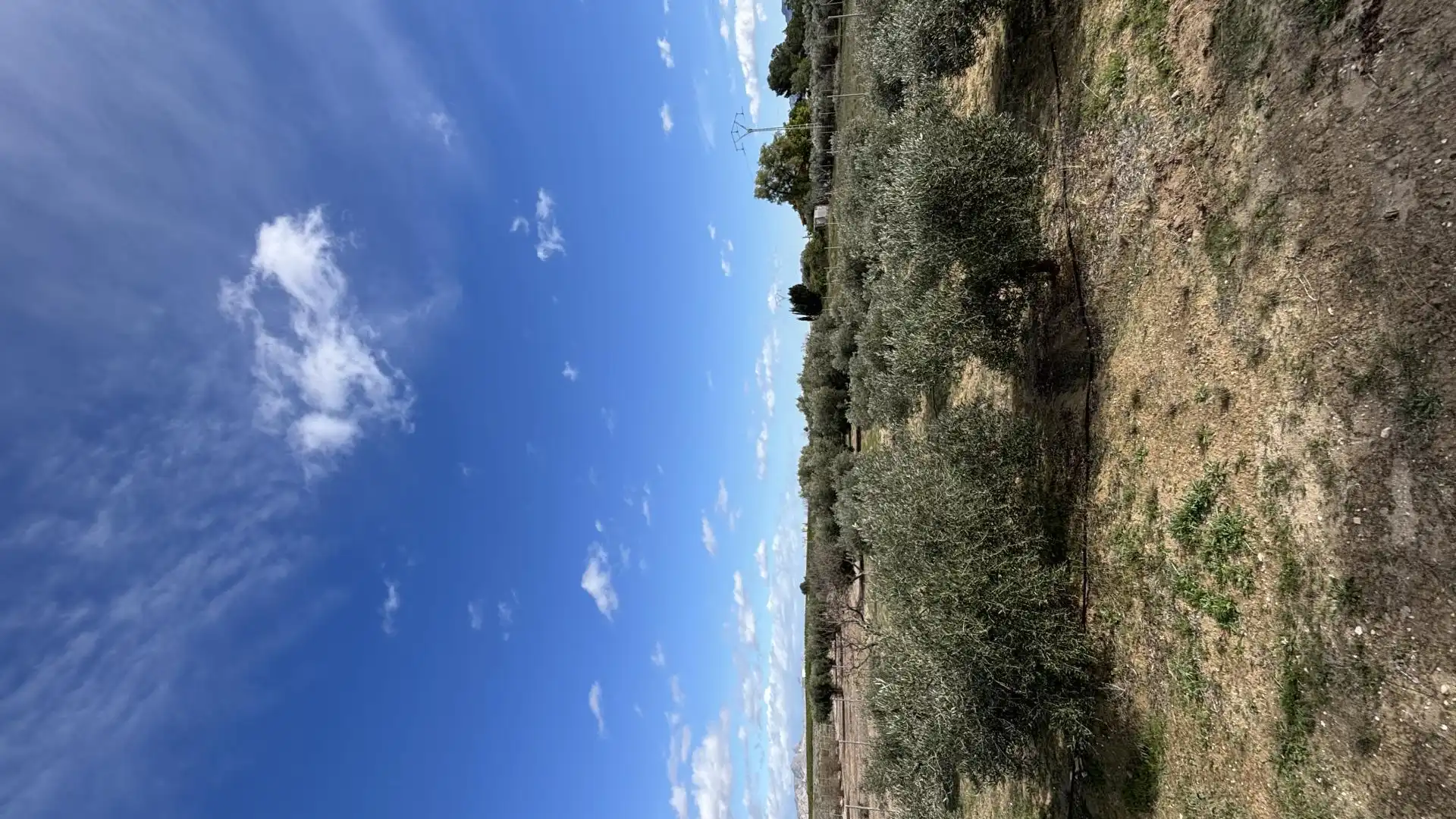 Finca rústica en  Calle Fc Ladrillo 11 - Foto 18