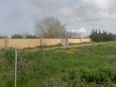 Finca rústica en  Camino Alcornocal 361 - Foto 6