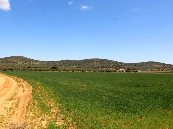 Cortijo en Cr-7021, 5 km - Foto 19