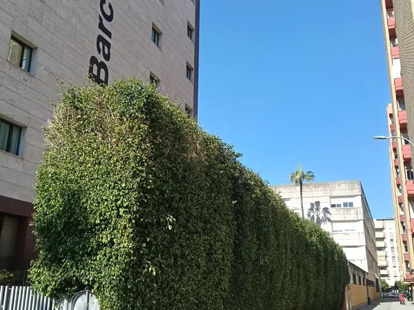 Piso en Barrio Buhaira - Huerta del Rey - Foto 25