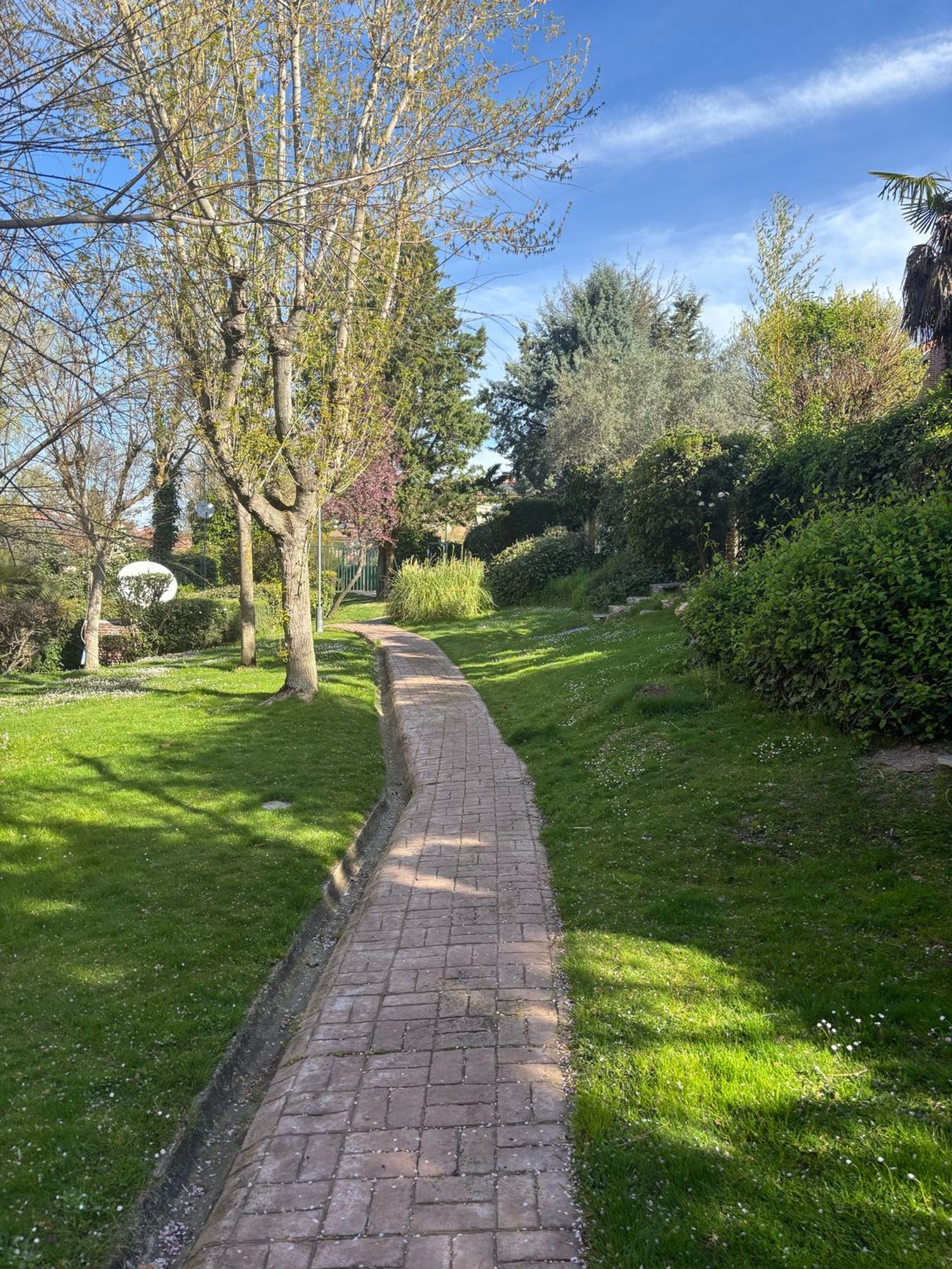 Chalet adosado en Barrio El Pinar- Punta Galea - Foto 36