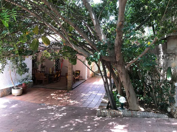 Casa o chalet independiente en Calle Tulipanes, 6, Pinares de San Antón - Foto 31