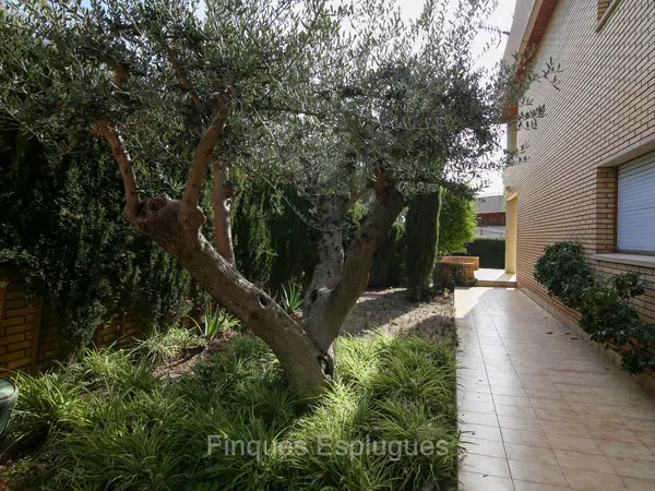 Casa o chalet independiente en Av Maestra Dolors Barcelo De, La Miranda - Ciutat Diagonal - Foto 7