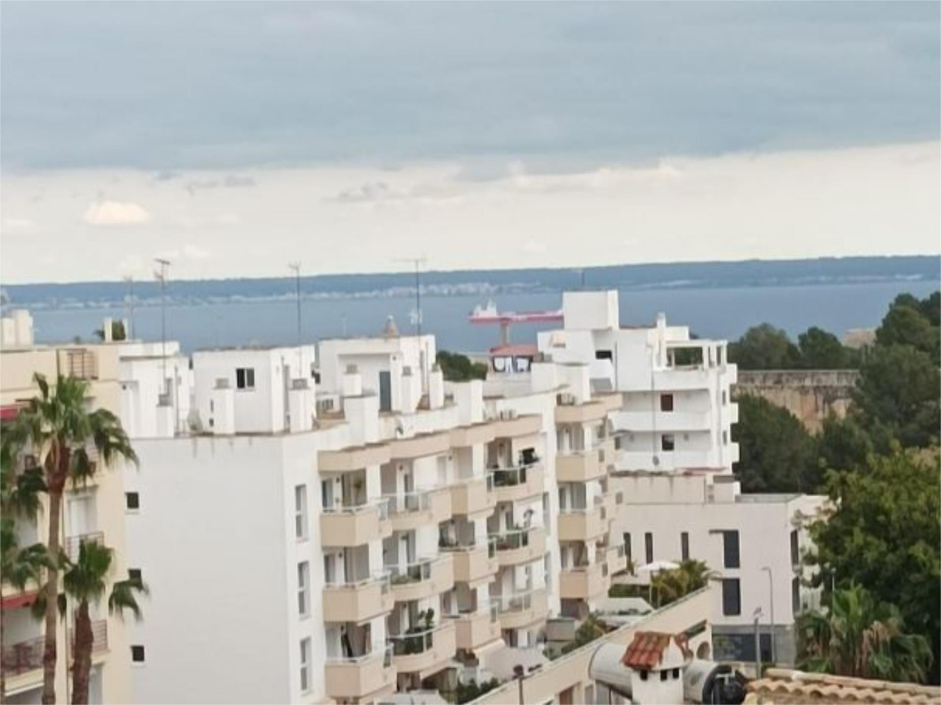 Estudio en  Calle Dina Moore Bowden 15 - Foto 9