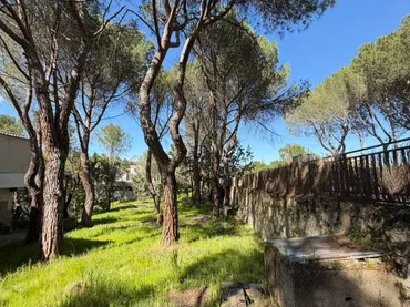 Chalet en Las Rozas de Madrid - Foto 6