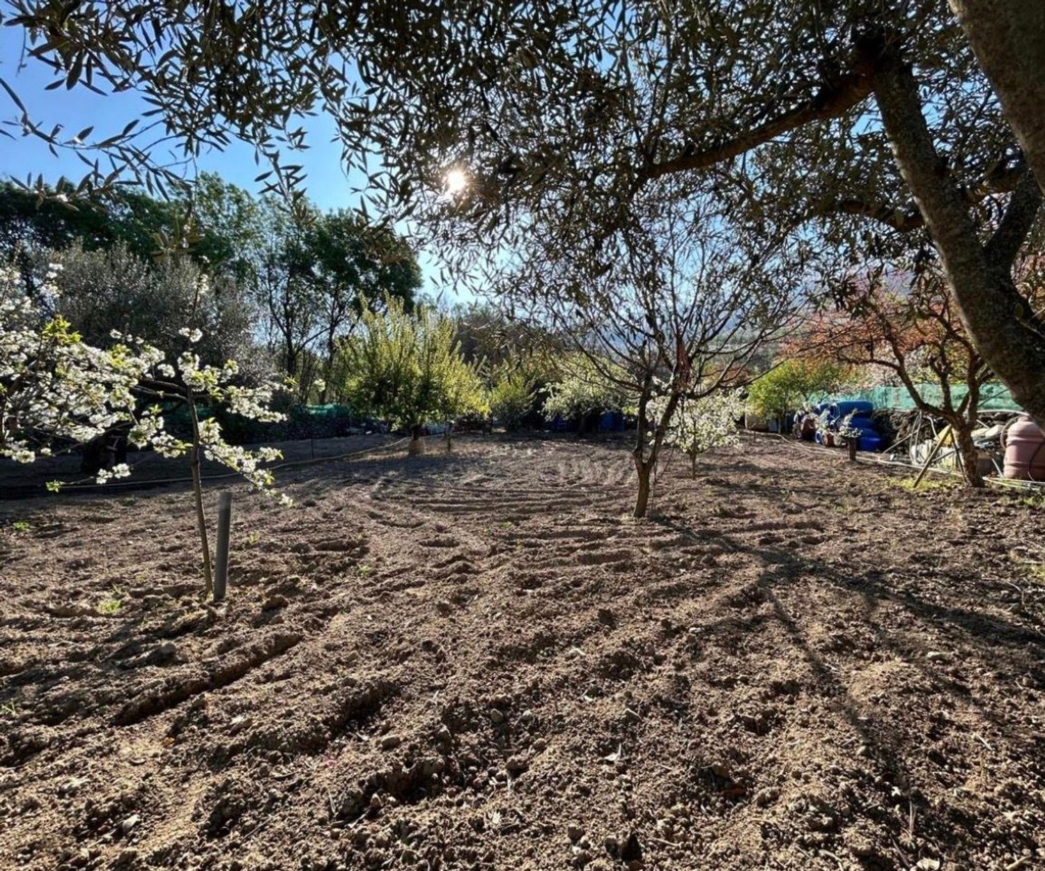 Finca rústica en Carretera Soria - Plasencia s/n - Foto 10
