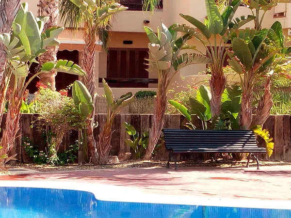 Piso en Arrayan, 4, Puerto Vera, Puerto Vera - Foto 7
