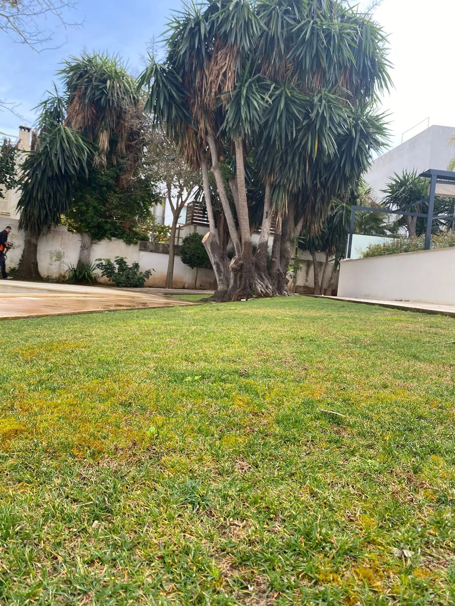 Piso en Barrio Son Rapinya - Los Almendros - Foto 5